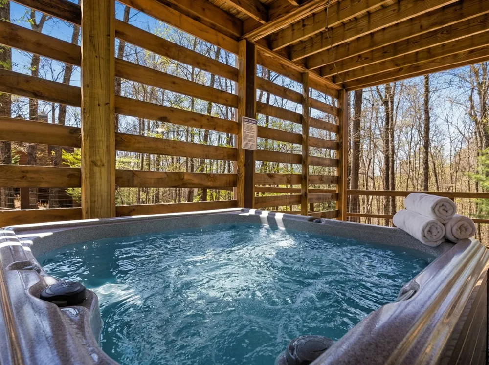 236 Logan Drive Mineral Bluff, GA 30559