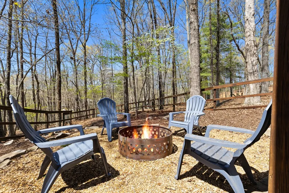 236 Logan Drive Mineral Bluff, GA 30559
