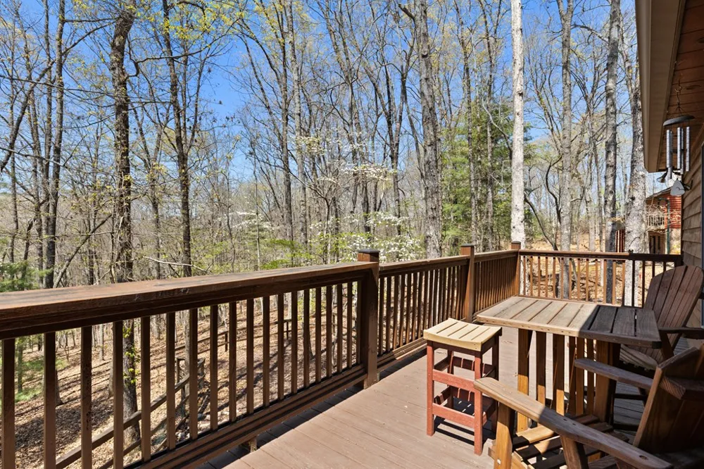 236 Logan Drive Mineral Bluff, GA 30559