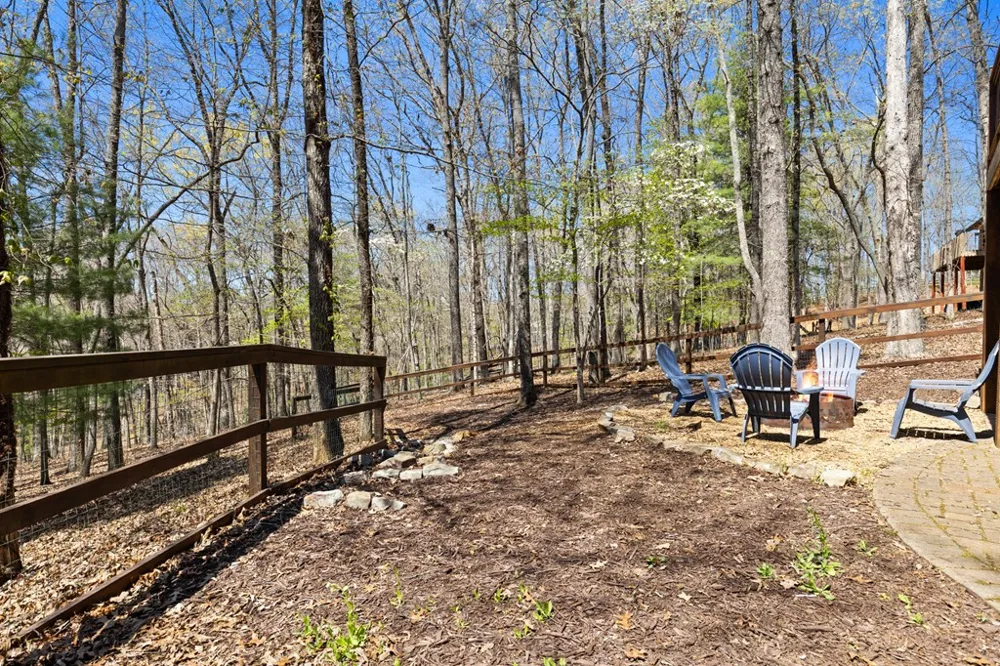 236 Logan Drive Mineral Bluff, GA 30559