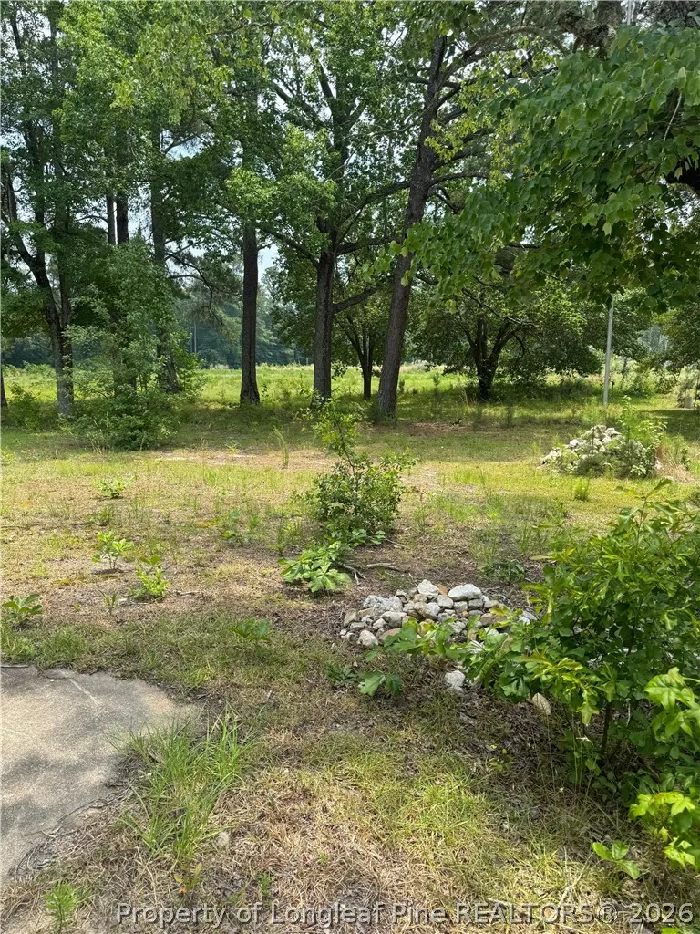 1730 Easterling Drive Spring Lake, NC 28390