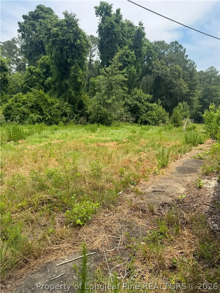 1730 Easterling Drive Spring Lake, NC 28390