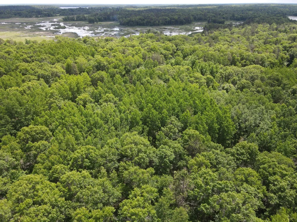 LOT 14 Loon Lake Road Danbury, WI 54830