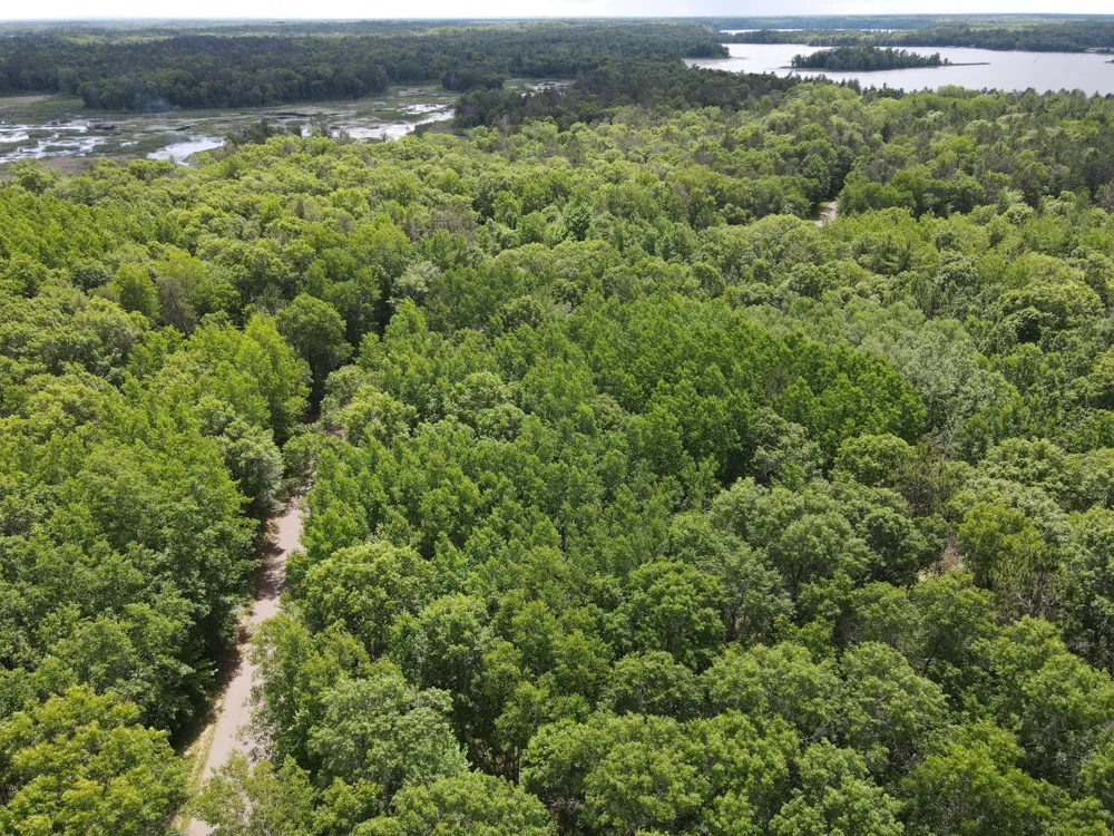 LOT 14 Loon Lake Road Danbury, WI 54830