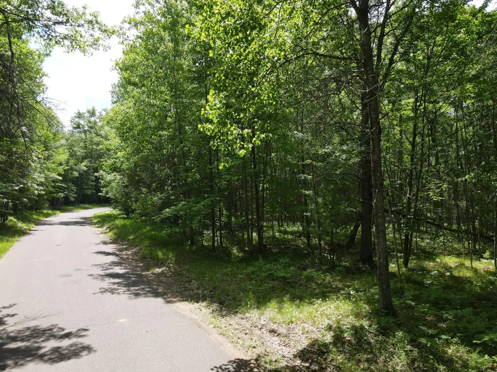 LOT 14 Loon Lake Road Danbury, WI 54830
