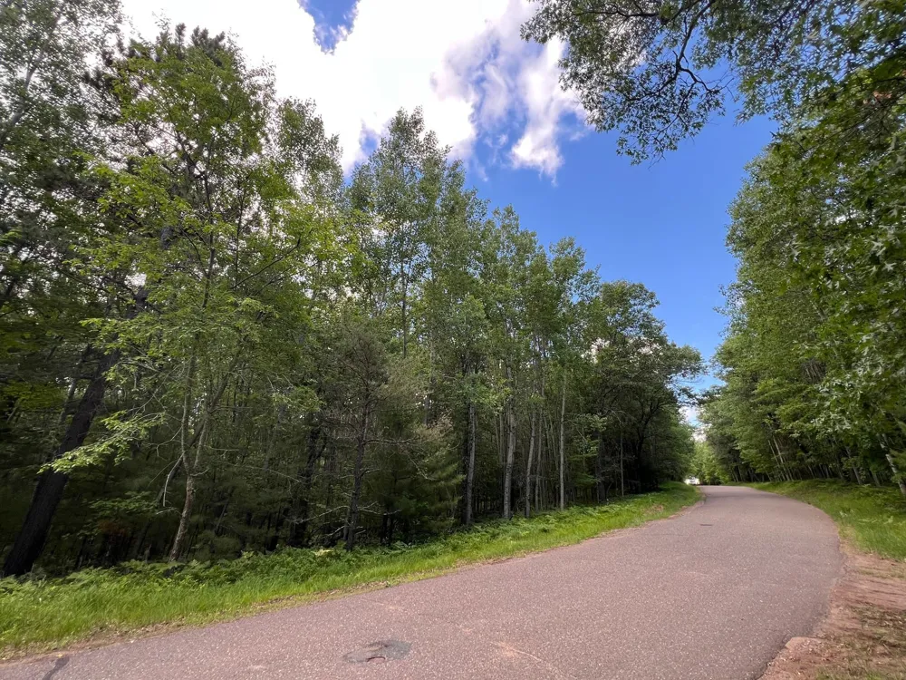 LOT 14 Loon Lake Road Danbury, WI 54830