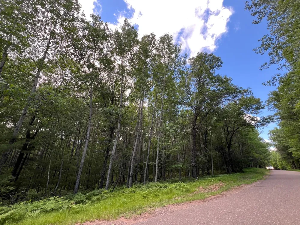 LOT 14 Loon Lake Road Danbury, WI 54830