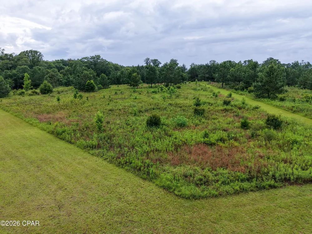 1229 Clearview Lane Graceville, FL 32440