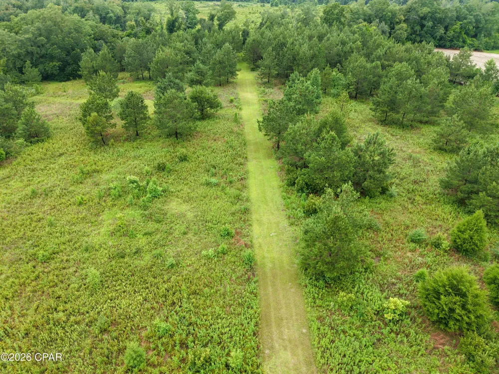 1229 Clearview Lane Graceville, FL 32440