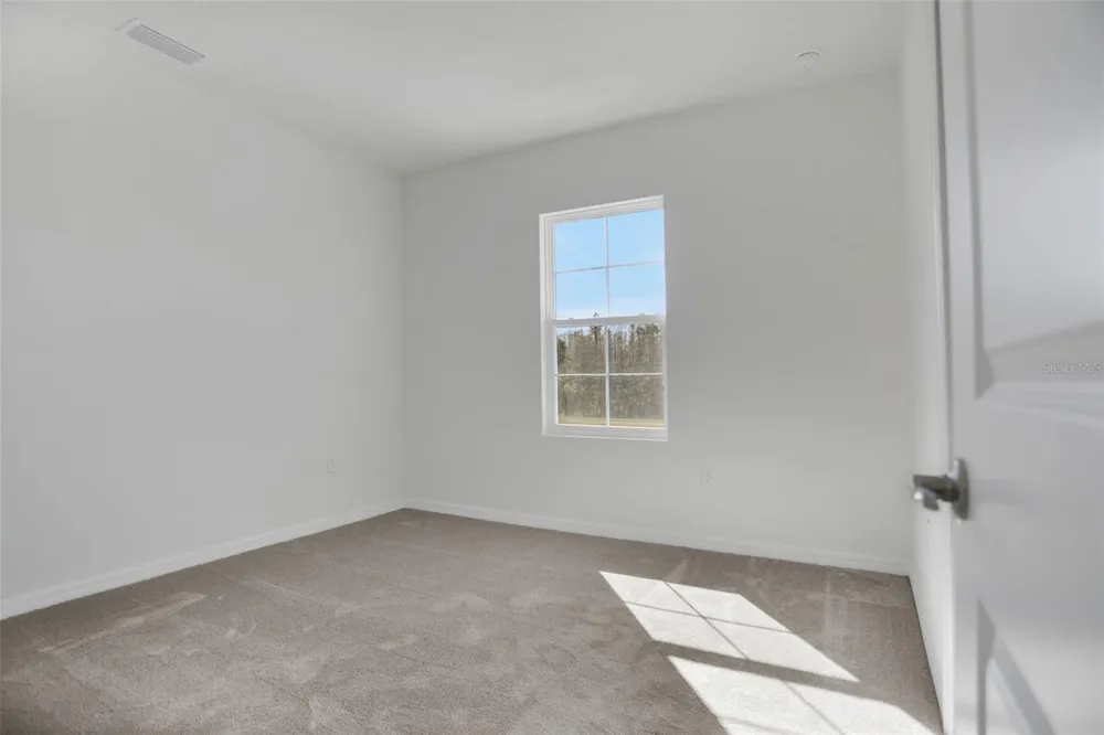 2371 JUNIPER BERRY DRIVE Minneola, FL 34715