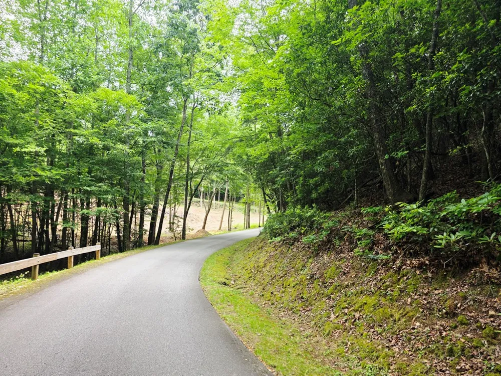 Sapphire Ln Franklin, NC 28734