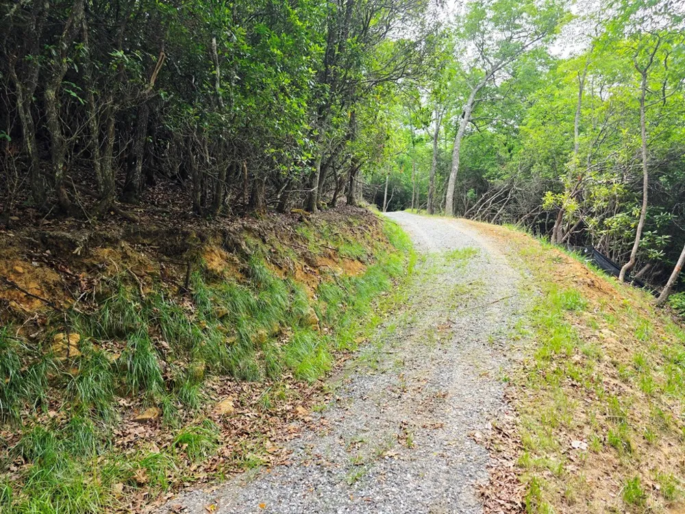 Sapphire Ln Franklin, NC 28734