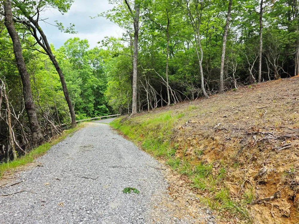 Sapphire Ln Franklin, NC 28734