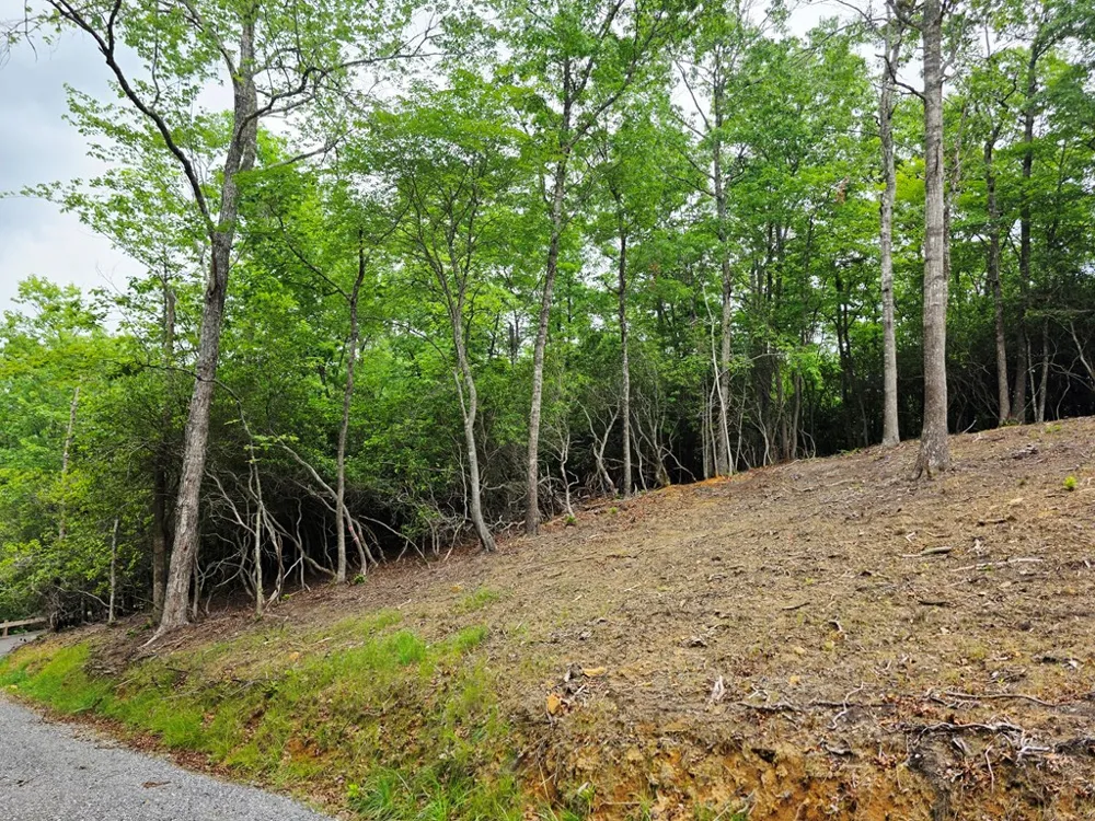 Sapphire Ln Franklin, NC 28734
