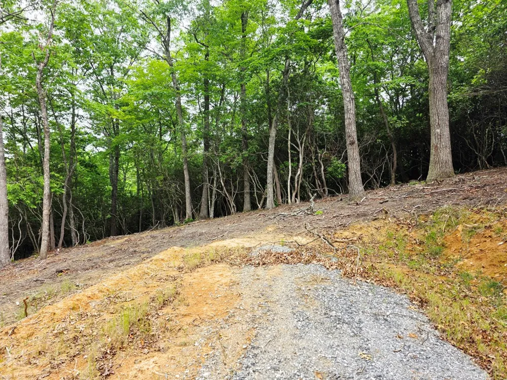 Sapphire Ln Franklin, NC 28734