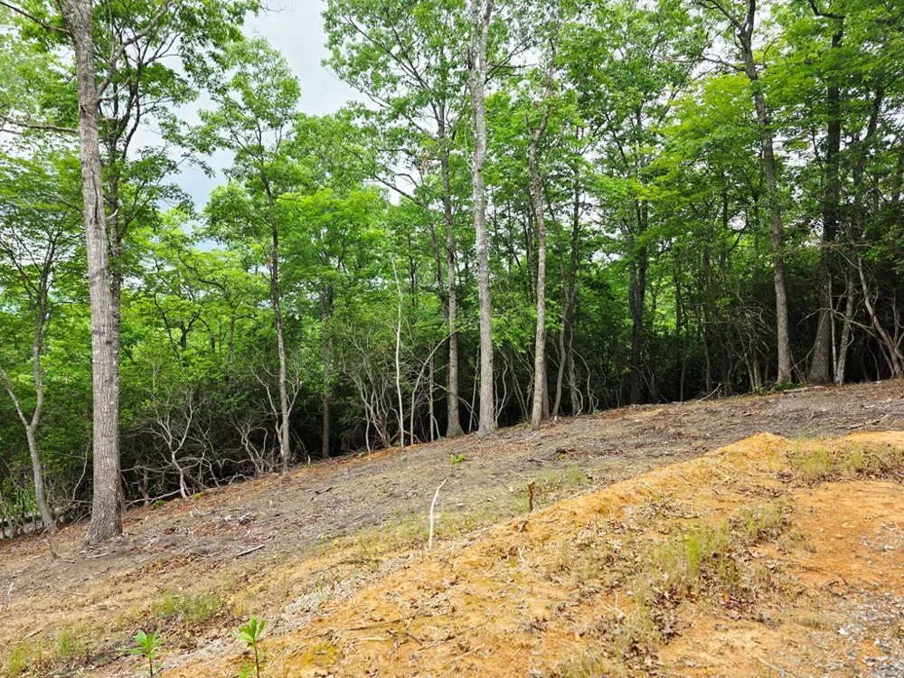 Sapphire Ln Franklin, NC 28734