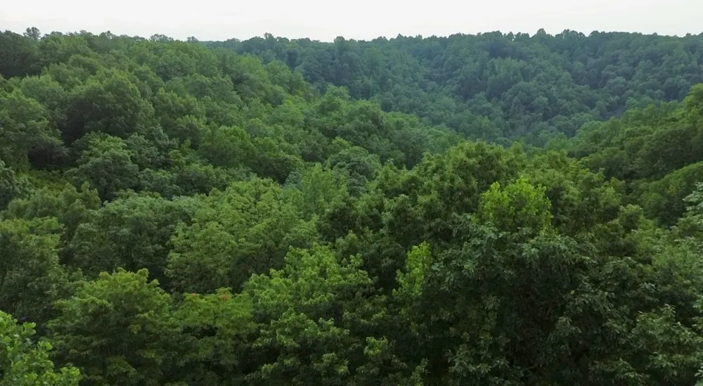 0 Woodcrest Dr Smithville, TN 37166