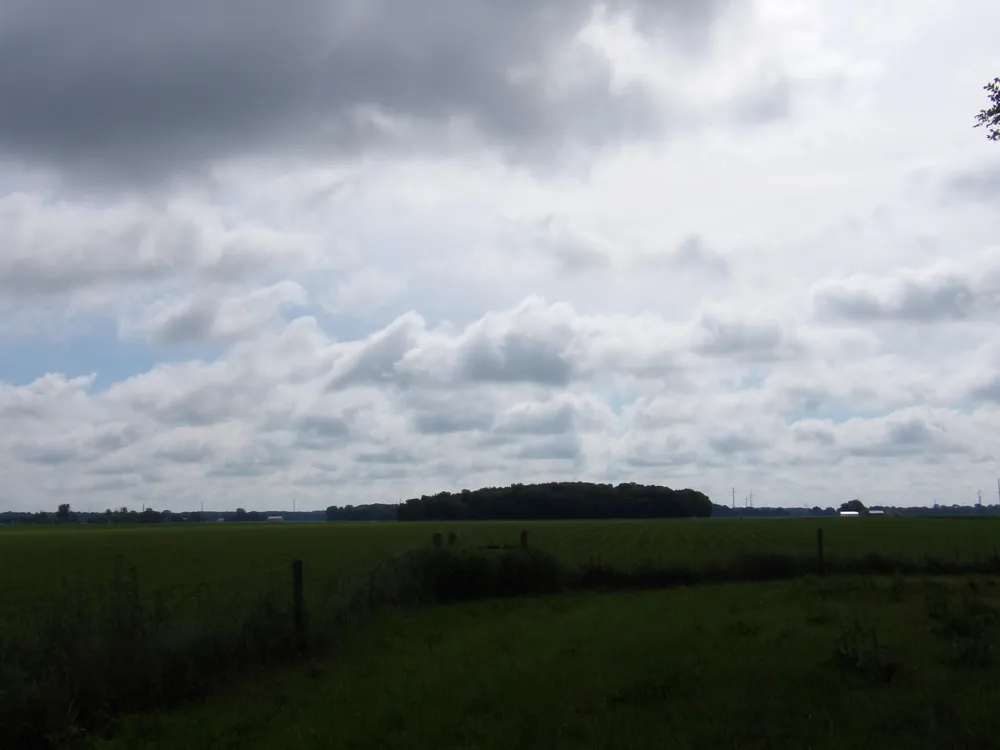 11500 State Bethany Township, MI 48880