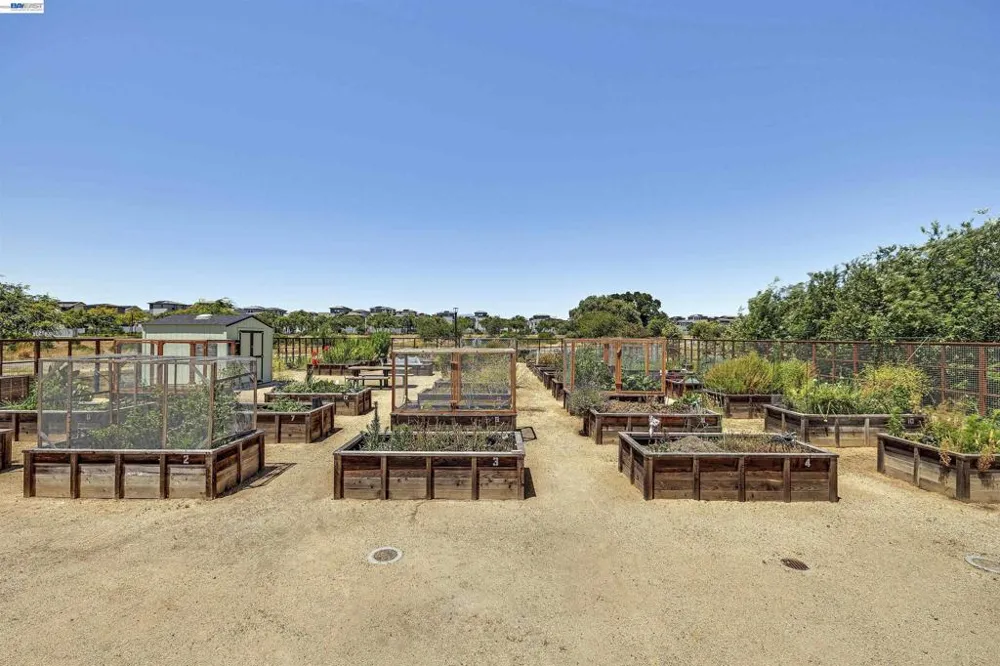 5885 Cadence Ave Dublin, CA 94568