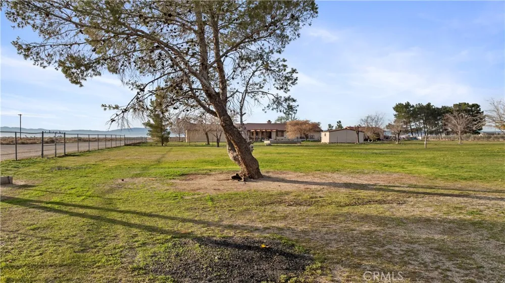 6532 Birch Street Rosamond, CA 93560