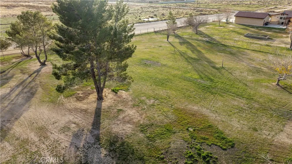 6532 Birch Street Rosamond, CA 93560