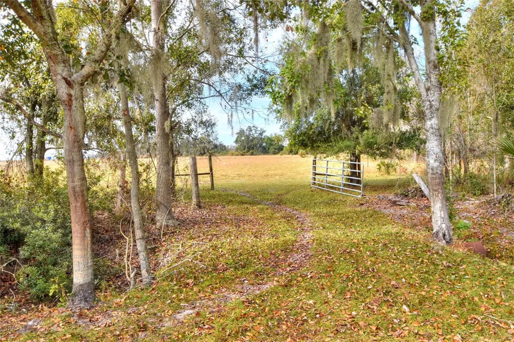 COLDING LOOP Wimauma, FL 33598