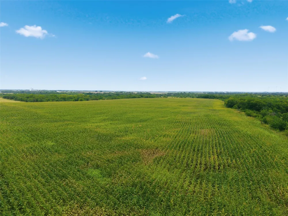 HCR 3165 ROAD Abbott, TX 76621