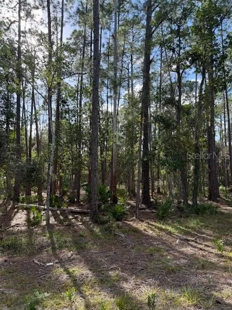 207 OCALA COURT