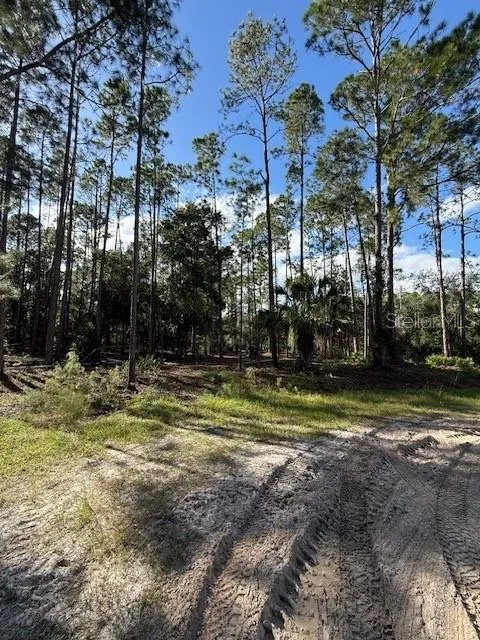 215 HIDEAWAY LANE Georgetown, FL 32139