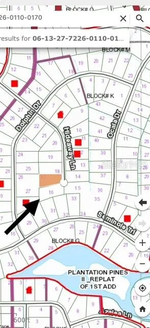 215 HIDEAWAY LANE Georgetown, FL 32139