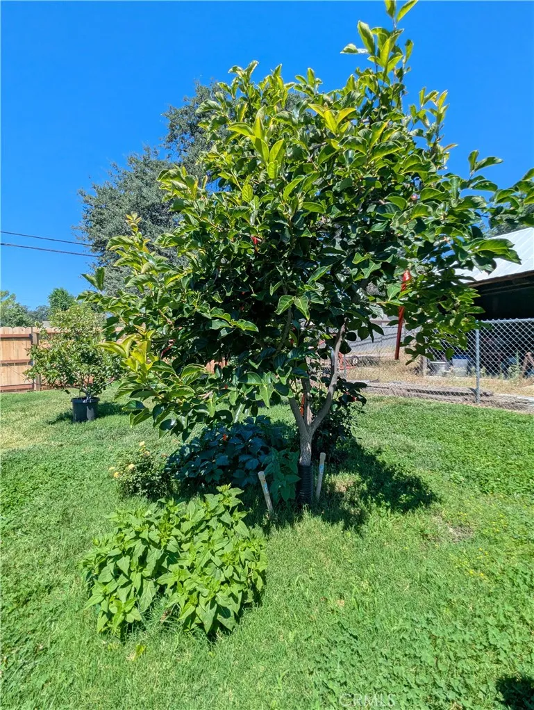 110 Bidwell Elk Creek, CA 95939