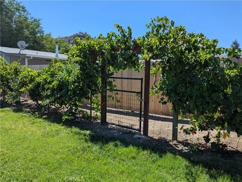 110 Bidwell Elk Creek, CA 95939
