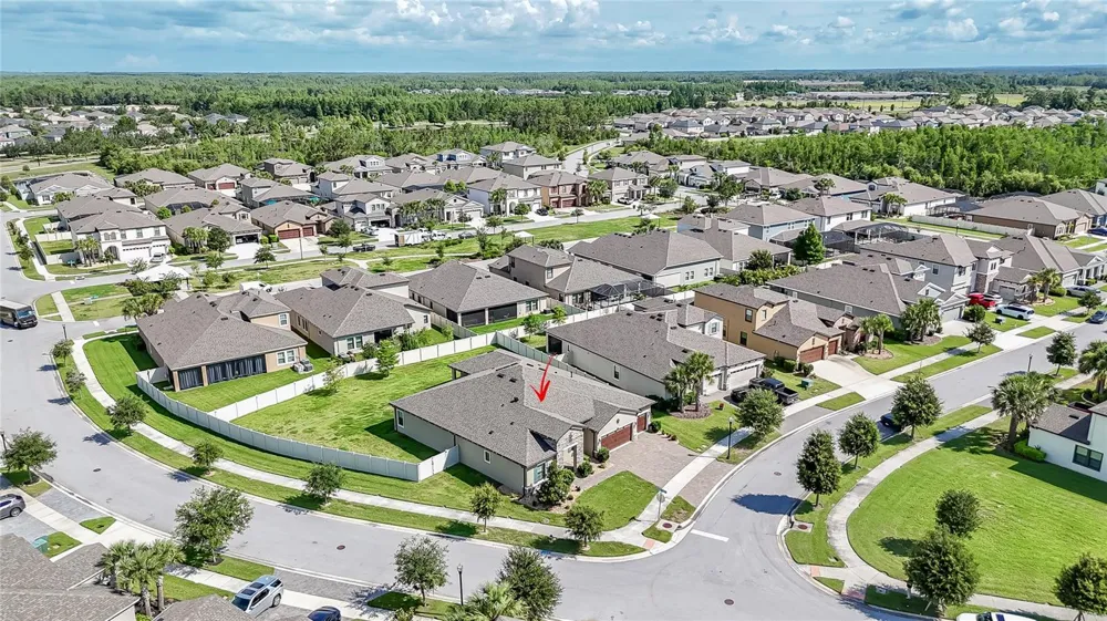 8687 BIRCHLEAF COURT Land O Lakes, FL 34637