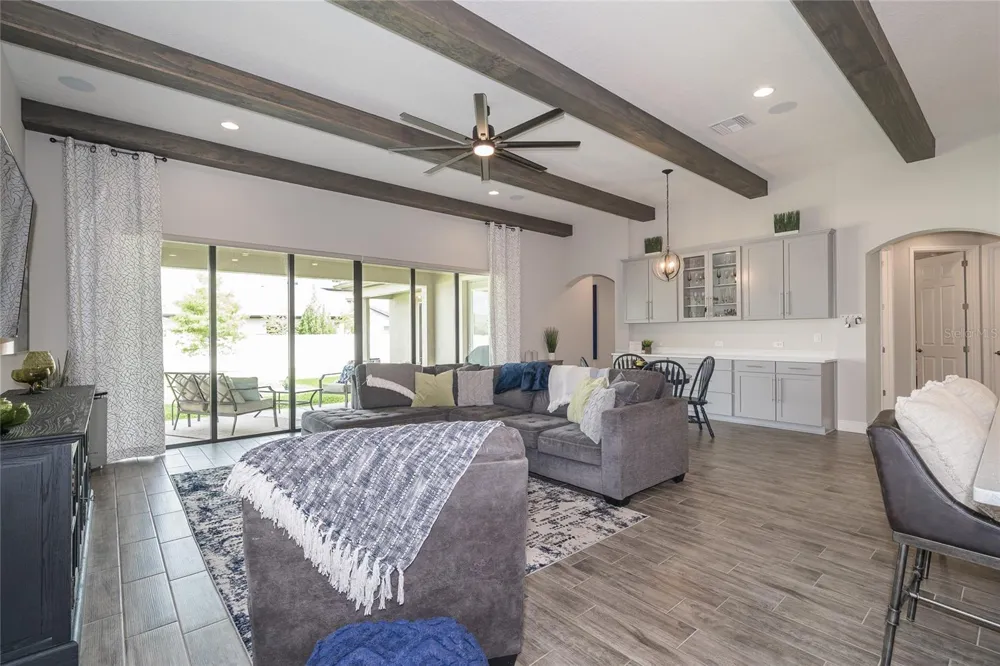 8687 BIRCHLEAF COURT Land O Lakes, FL 34637