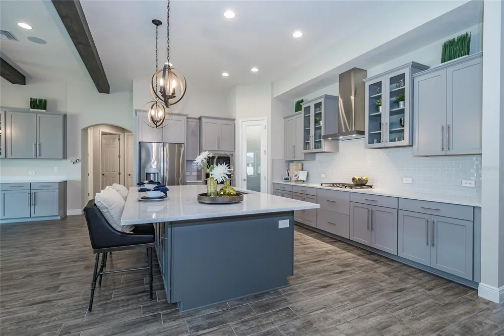 8687 BIRCHLEAF COURT Land O Lakes, FL 34637