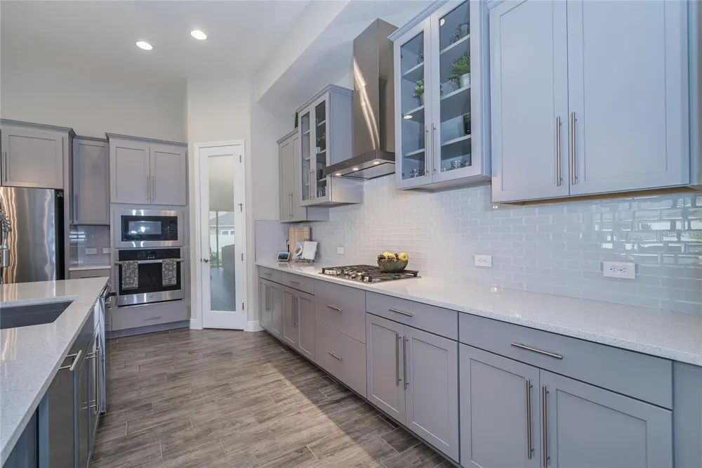 8687 BIRCHLEAF COURT Land O Lakes, FL 34637
