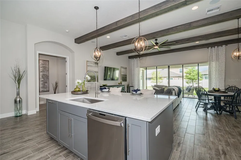 8687 BIRCHLEAF COURT Land O Lakes, FL 34637