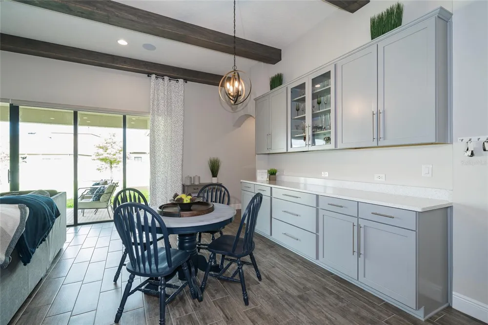 8687 BIRCHLEAF COURT Land O Lakes, FL 34637