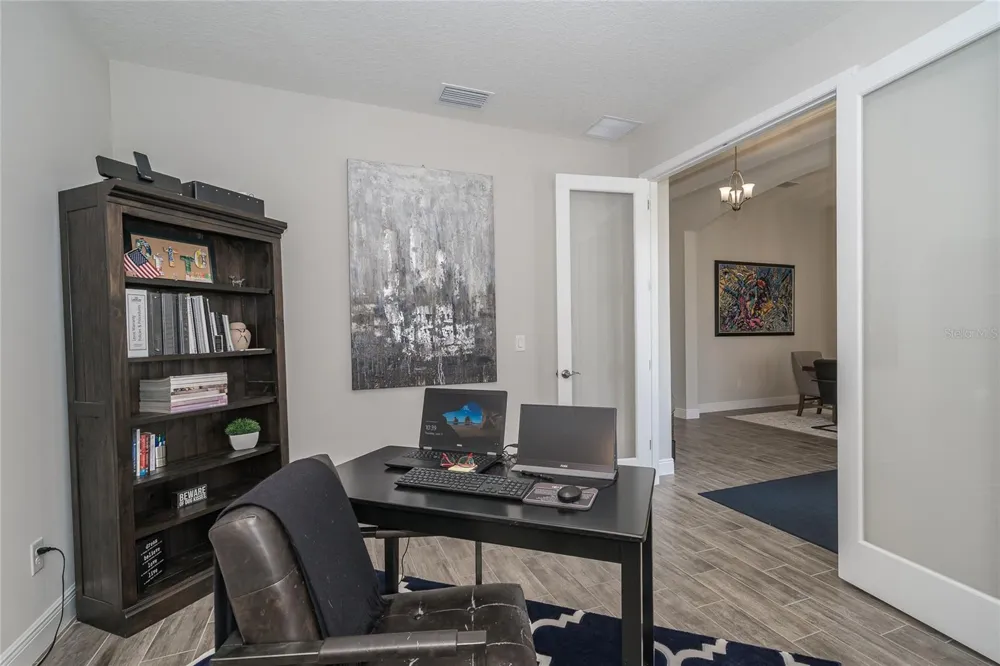 8687 BIRCHLEAF COURT Land O Lakes, FL 34637