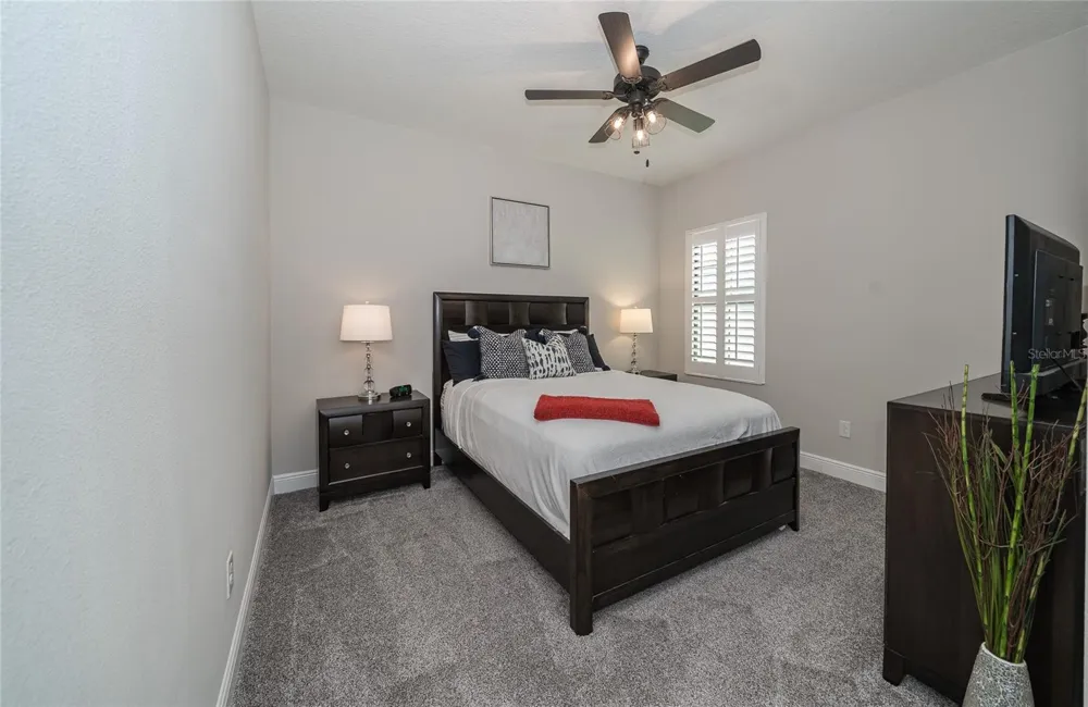 8687 BIRCHLEAF COURT Land O Lakes, FL 34637