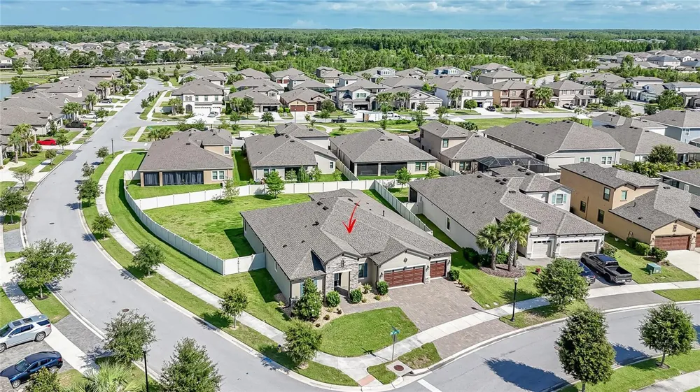 8687 BIRCHLEAF COURT Land O Lakes, FL 34637