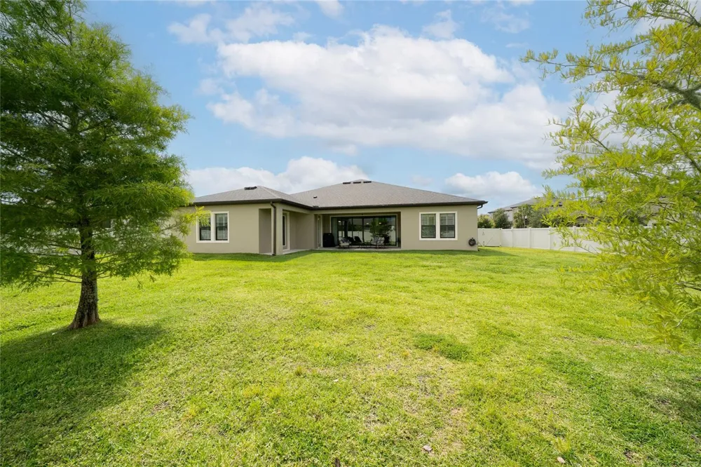 8687 BIRCHLEAF COURT Land O Lakes, FL 34637