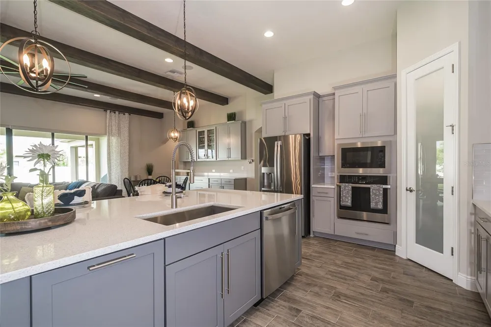 8687 BIRCHLEAF COURT Land O Lakes, FL 34637