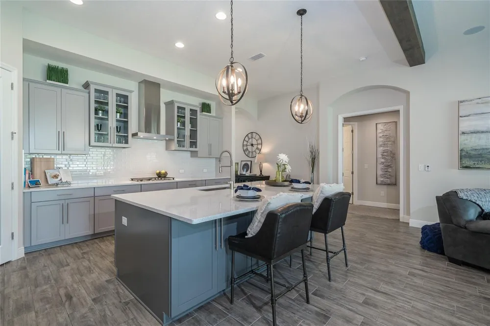 8687 BIRCHLEAF COURT Land O Lakes, FL 34637