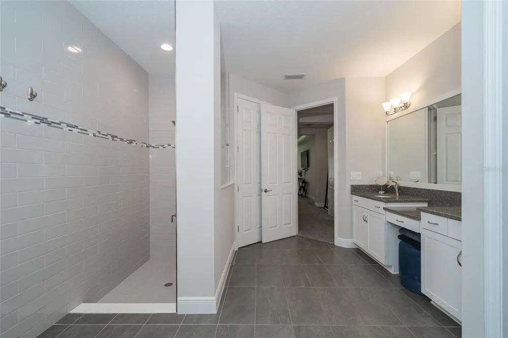 8687 BIRCHLEAF COURT Land O Lakes, FL 34637
