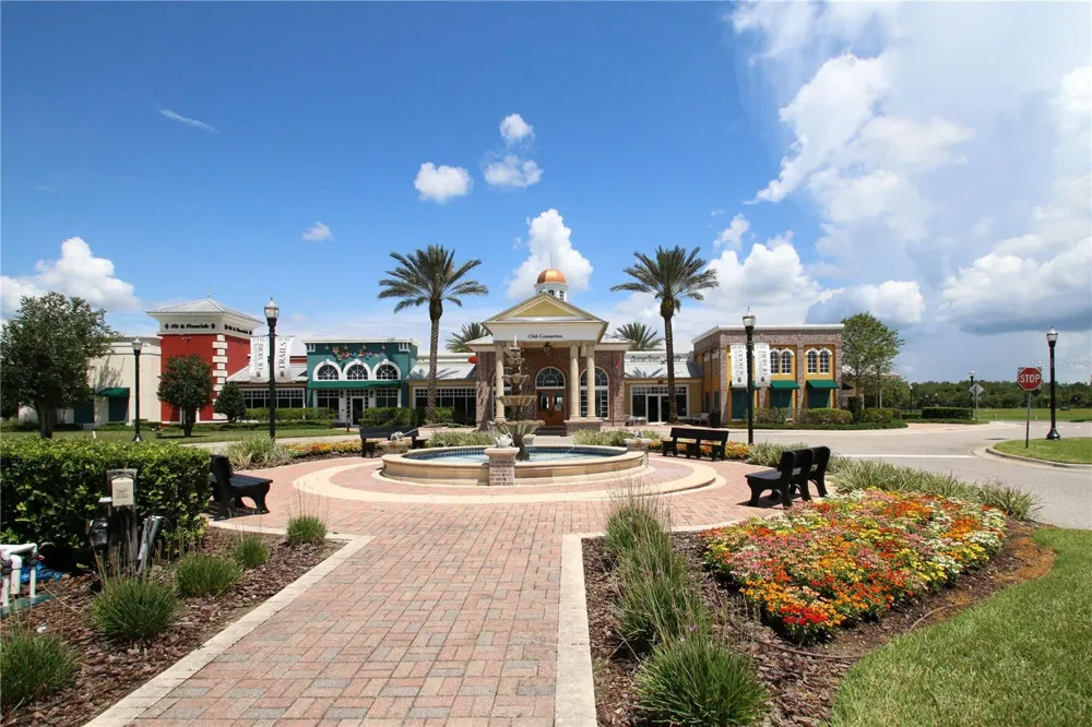 8687 BIRCHLEAF COURT Land O Lakes, FL 34637
