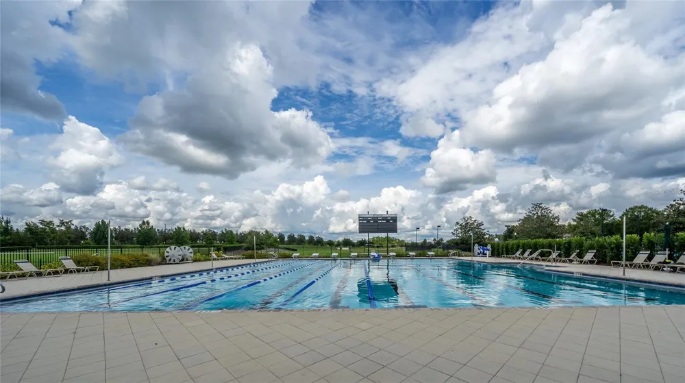 8687 BIRCHLEAF COURT Land O Lakes, FL 34637