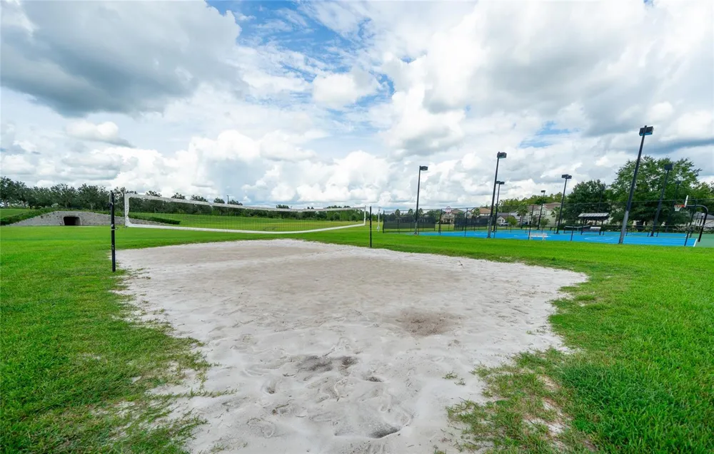 8687 BIRCHLEAF COURT Land O Lakes, FL 34637