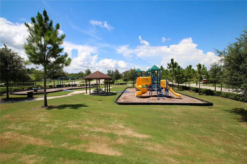 8687 BIRCHLEAF COURT Land O Lakes, FL 34637