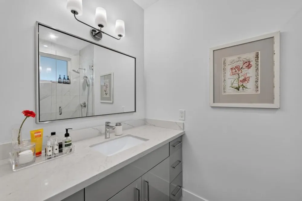 1667 San Carlos Avenue #203 San Carlos, CA 94070